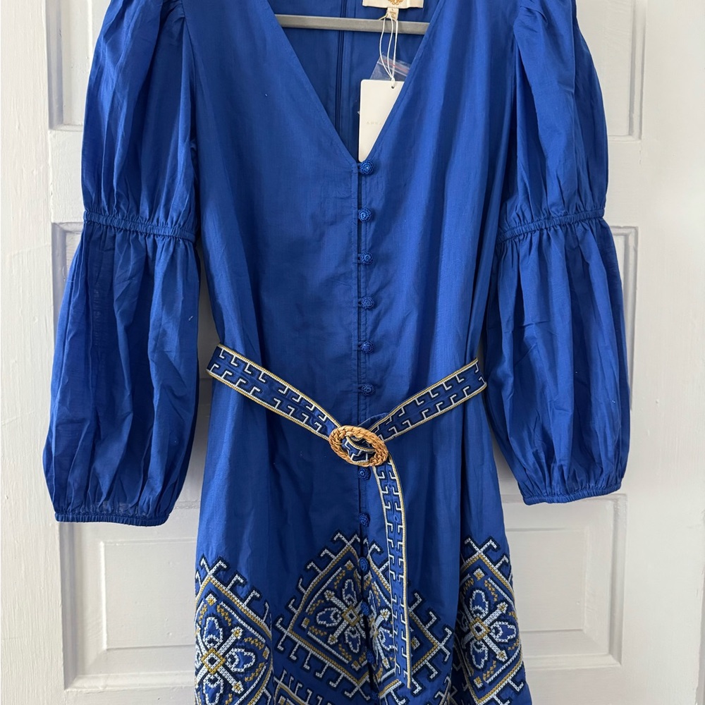 Elegant Blue Embroidered Dress